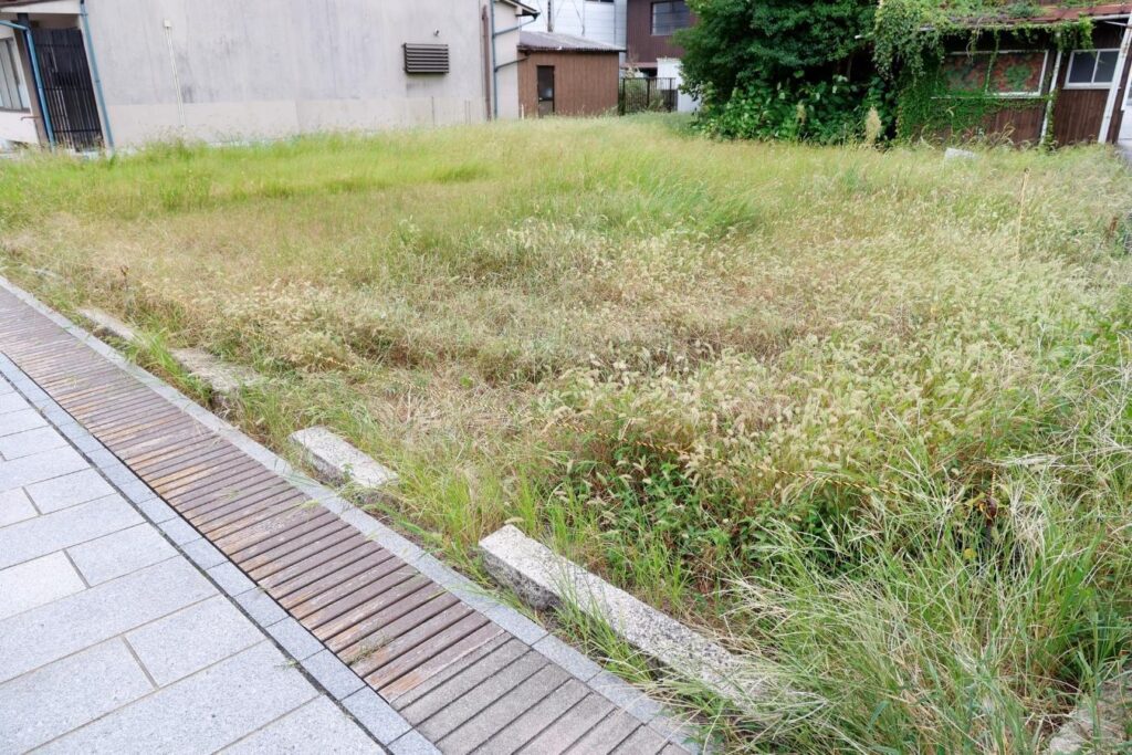 住宅地内の草が生えている空き地