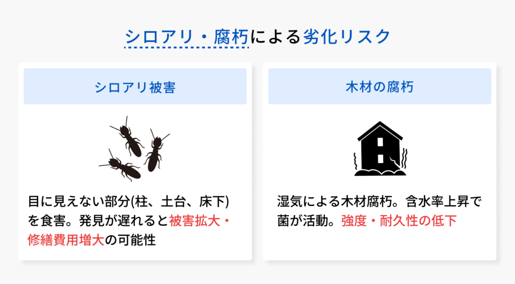 シロアリと腐朽の図解